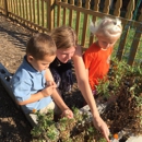 Montessori Country Day School - Private Schools (K-12)
