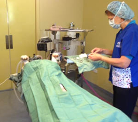 Belmont Avenue Veterinary Hospital - Belmont, WA