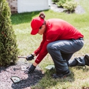 Frontline Pest and Termite of Wilmington - Pest Control Services