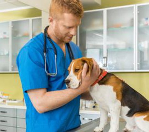 Wards Corner Animal Hospital - Loveland, OH