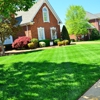 D&a's lawn company gallery