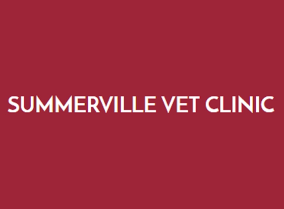 Summerville Veterinary Clinic - Summerville, GA