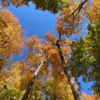 Funks Grove Nature Spaces gallery