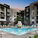 Carillon Apartment Homes - Real Estate Agents