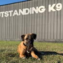 Outstanding K9