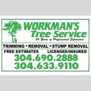 Workman Tree Service - Tree Service