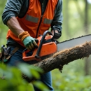 Perfection To A Tree - Tree Service