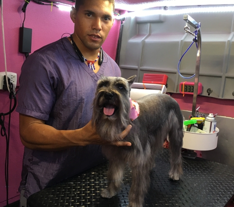 Tracy's Grooming Waggin - Pompano Beach, FL