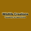 Wildlife Creations Taxidermy gallery