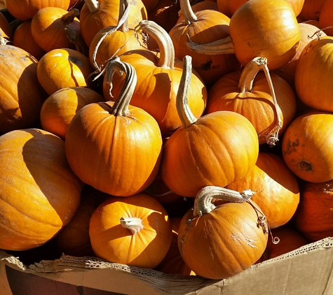 Farmer Joe's Marketplace - Oakland, CA