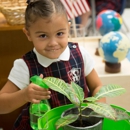 Silverline Montessori School - Shadow Creek