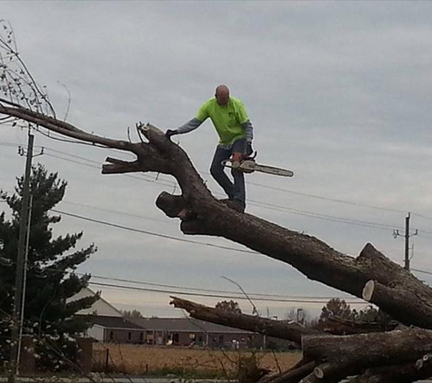 Action Affordable Tree Service - Greenwood, IN