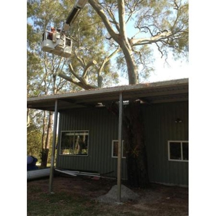 Bill's Tree Service Pty Ltd