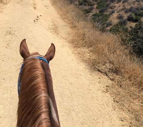 Sunset Ranch Hollywood Stables - Los Angeles, CA