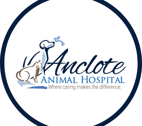 Anclote Animal Hospital - Tarpon Springs, FL