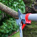 AAckerman Tree Services - Tree Service