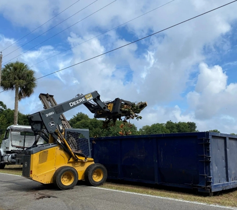 Diversified Tree Service - Leesburg, FL