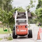 Treescapes Tree Removal Service