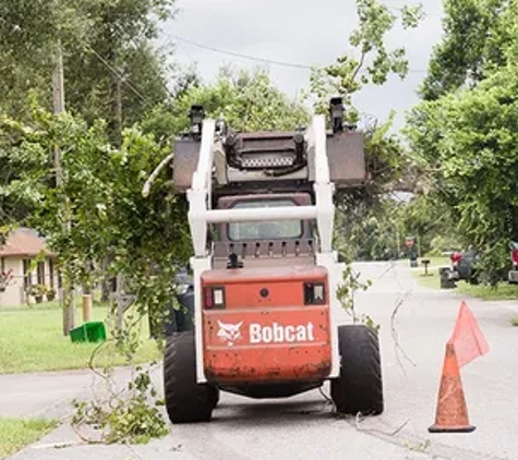 Treescapes Tree Removal Service