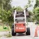 Treescapes Tree Removal Service