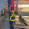Greentree Pet Center gallery