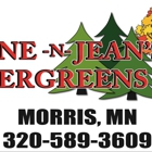 Wayne-N-Jeans Evergreens