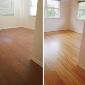 Gallery Image Number 2