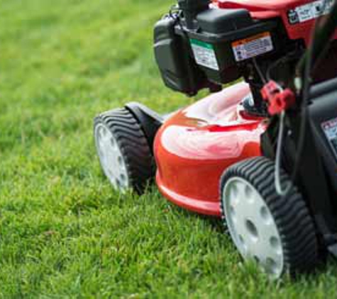 Camden Mower & Chainsaw Centre - Camden, NSW