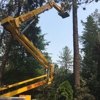 Spokane Tree Pro gallery