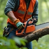 Cheap Charlie's Tree Service gallery