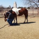 4 D Horsemanship - Horse Training