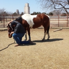 4 D Horsemanship