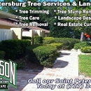 Silverson Tree Services & Landscaping - Saint Petersburg - Tree Service