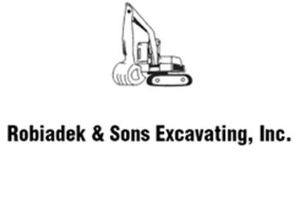 Robiadek & Sons Excavating Inc - Cheboygan, MI