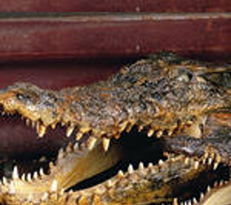 Australian Crocodile Traders - Woree, QLD