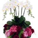 Miami Gardens Florist - Orchid Growers