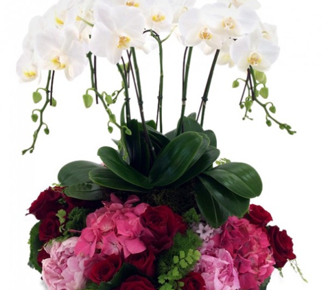 Miami Gardens Florist - Miami, FL