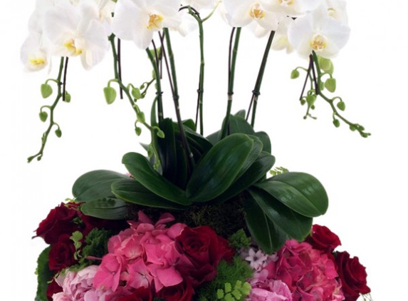 Miami Gardens Florist - Miami, FL