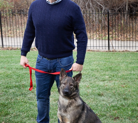 The Watt Law Firm - Kansas City, MO. K-9 Drug Detection: Our New Comfort Zone