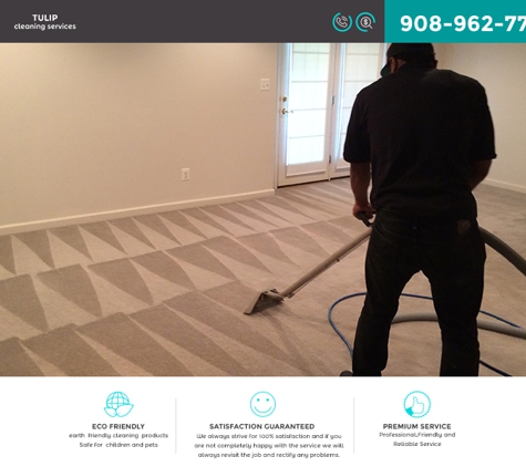 Tulip Cleaning Services - Elizabeth, NJ. Carpet Steam Cleaning