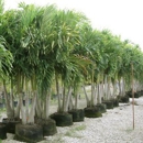 Leserra's Nursery & Landscaping - Nurseries-Plants & Trees