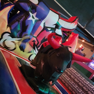 SDR Show - Mechanical Bull Rental - Houston, TX. bull rental