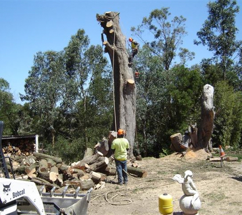 Drouin Tree Services - Drouin, VIC