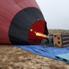 A Grape Escape Balloon Adventure gallery