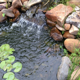 Water Feature Maintenance - Baton Rouge, LA