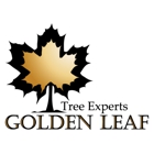 Golden Leaf Tree Experts