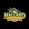Mallard Plumbing & Mechanical Inc. gallery