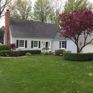 NH Shrub & Tree Trimming - New Baltimore, MI