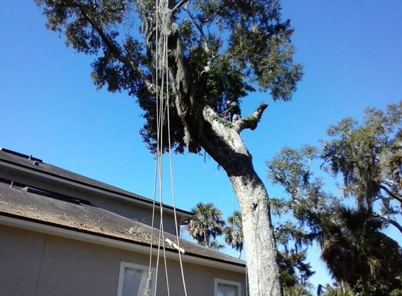 KC's Tree Care - Fernandina Beach, FL