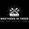 Brothers In Trees gallery